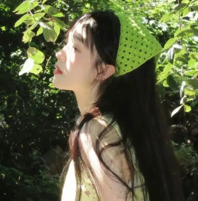 十二猴子